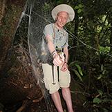Diversity of Tropical <mark class="highlighted">Spiders</mark>